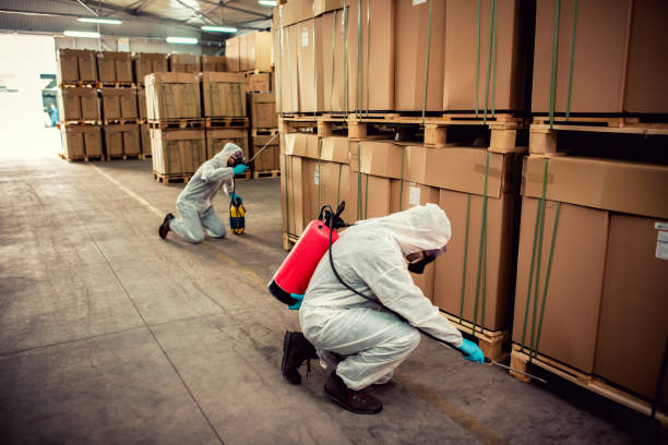 Best Flea Control Services  in Melwood, MD
