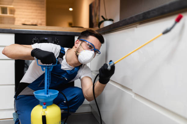 Best Residential Pest Control  in Melwood, MD