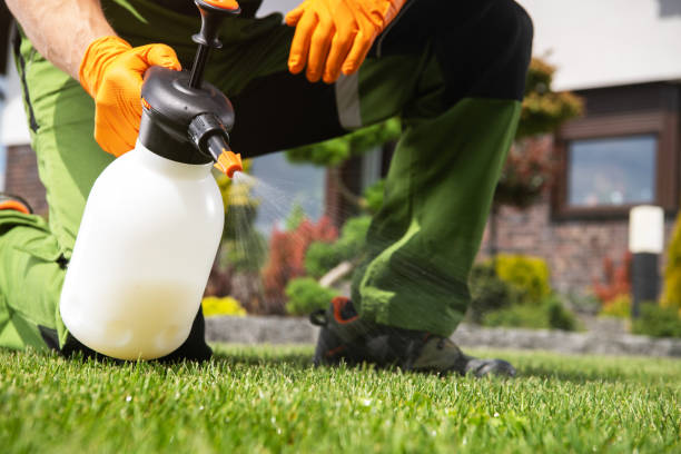 Pest Prevention Services in Melwood, MD