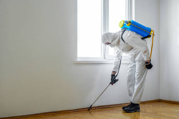 Best Pest Control Near Me in Melwood, MD