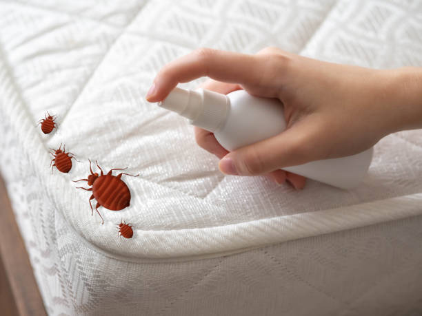 Best Bed Bug Extermination  in Melwood, MD