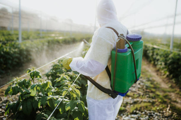 Pest Control Cost in Melwood, MD